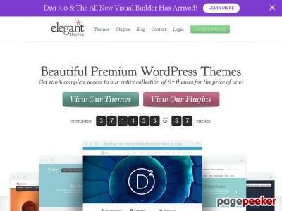 elegantthemes.com